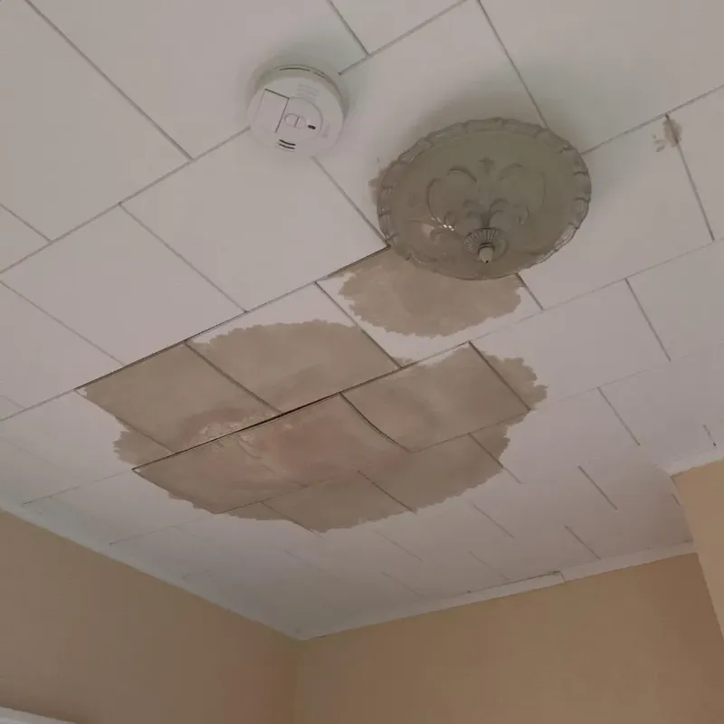 Ceiling Water Damage Repair in Brooklet, GA
