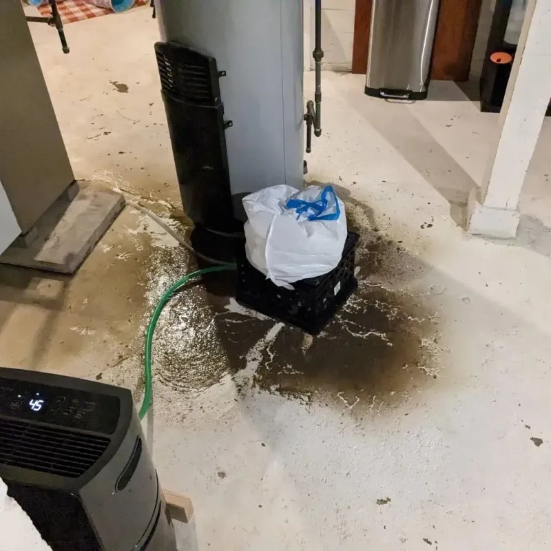 Sewage Backup Cleanup Service in Brooklet, GA